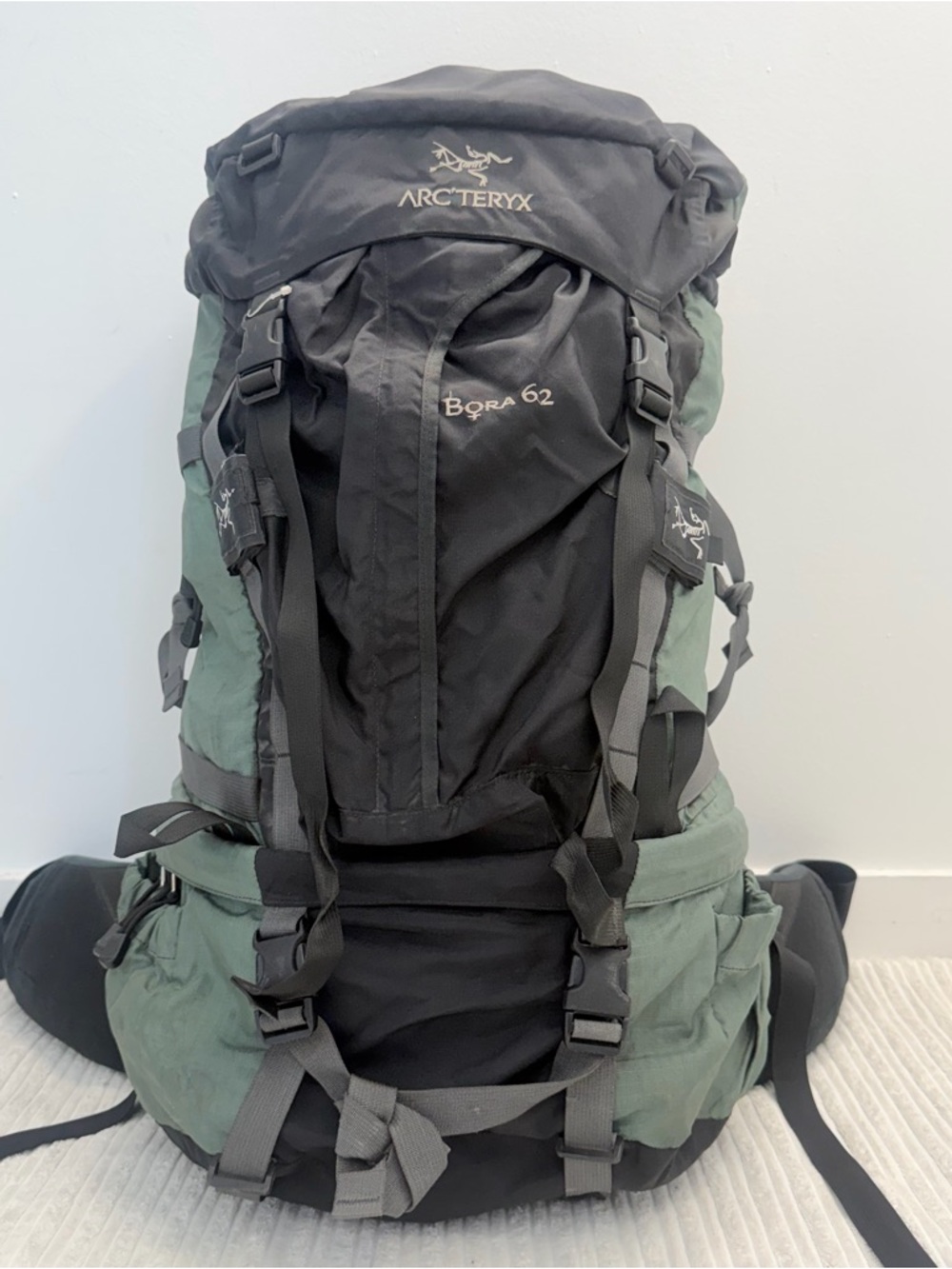 Arc'teryx Men's Backpack in Black and Green